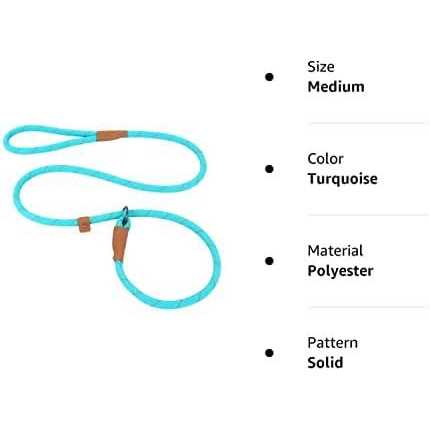 Slip Lead Dog Leash Reflective Mountain Climbing Rope Leash - Healthber