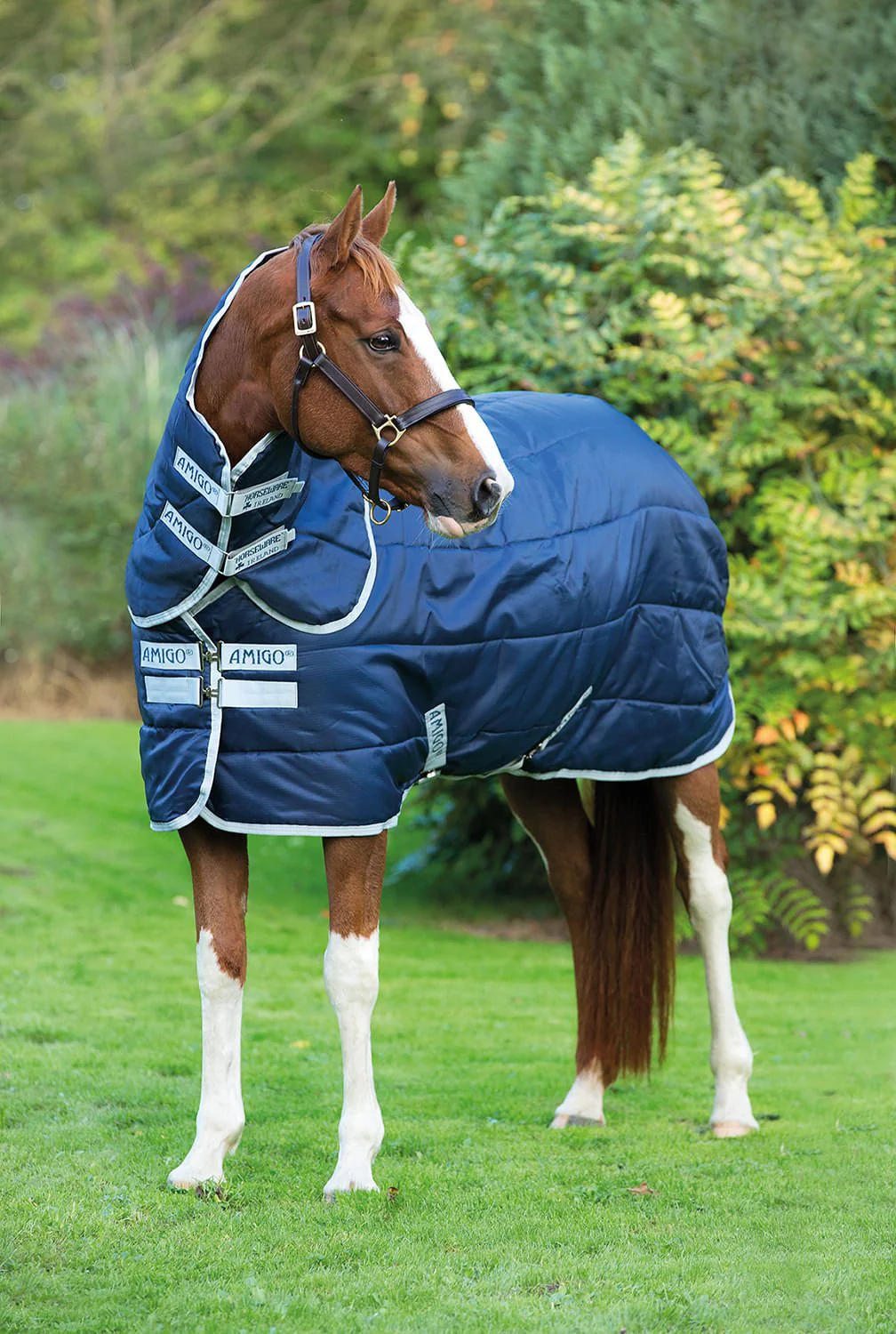 Amigo Insulator Plus Horse Stable Blanket with 200 gram fill - Healthber