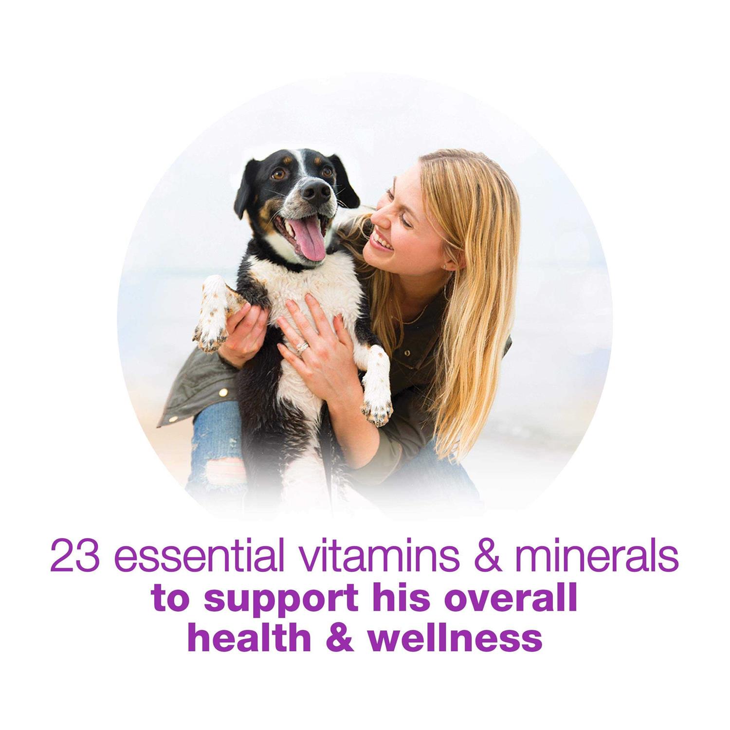 Purina Beneful Chopped Blends Wet Dog Food - Healthber