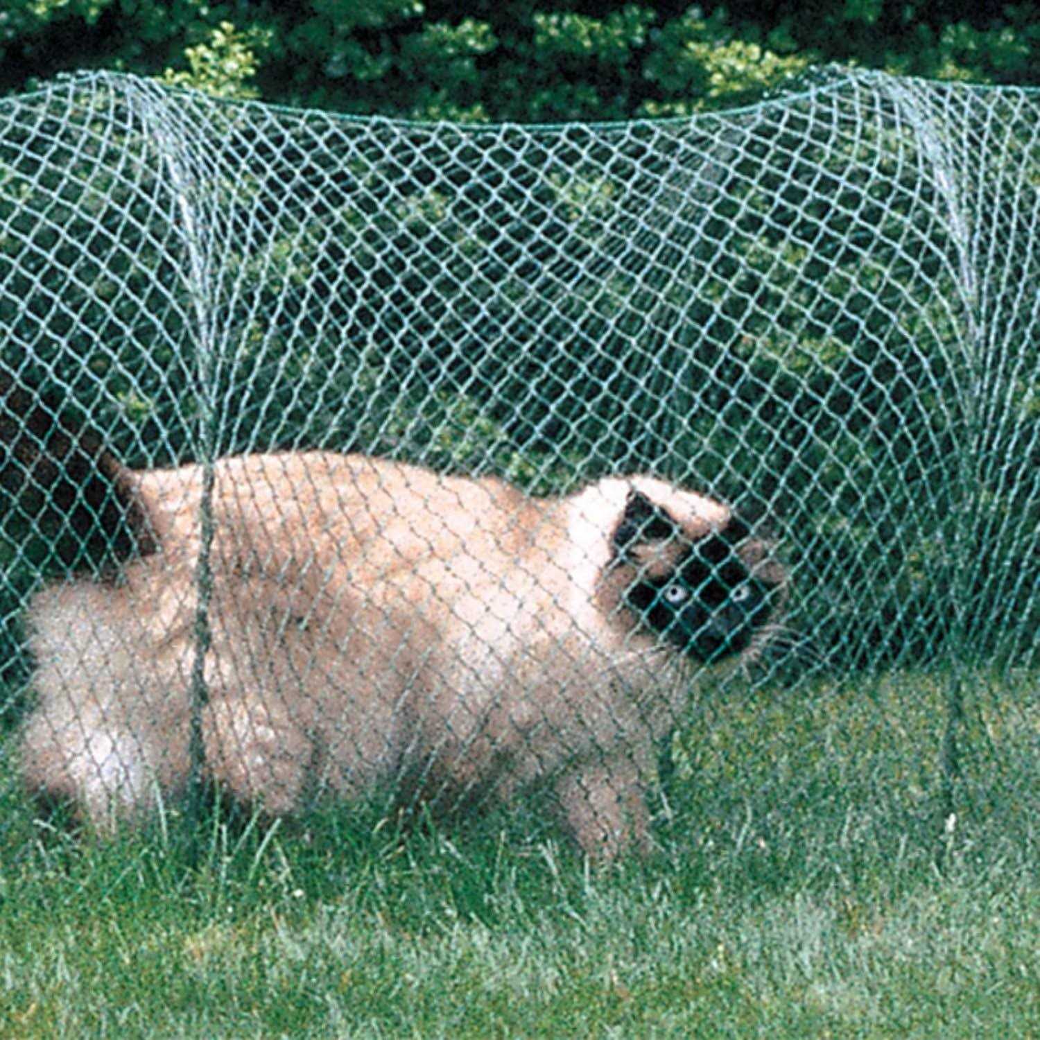 Kittywalk Lawn Version Outdoor Cat Enclosure - Healthber