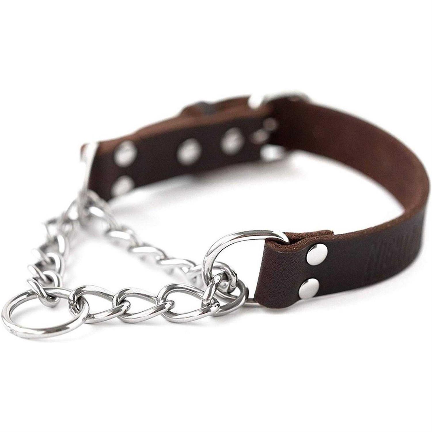 Mighty Paw Leather Collar Martingale Collar - Healthber