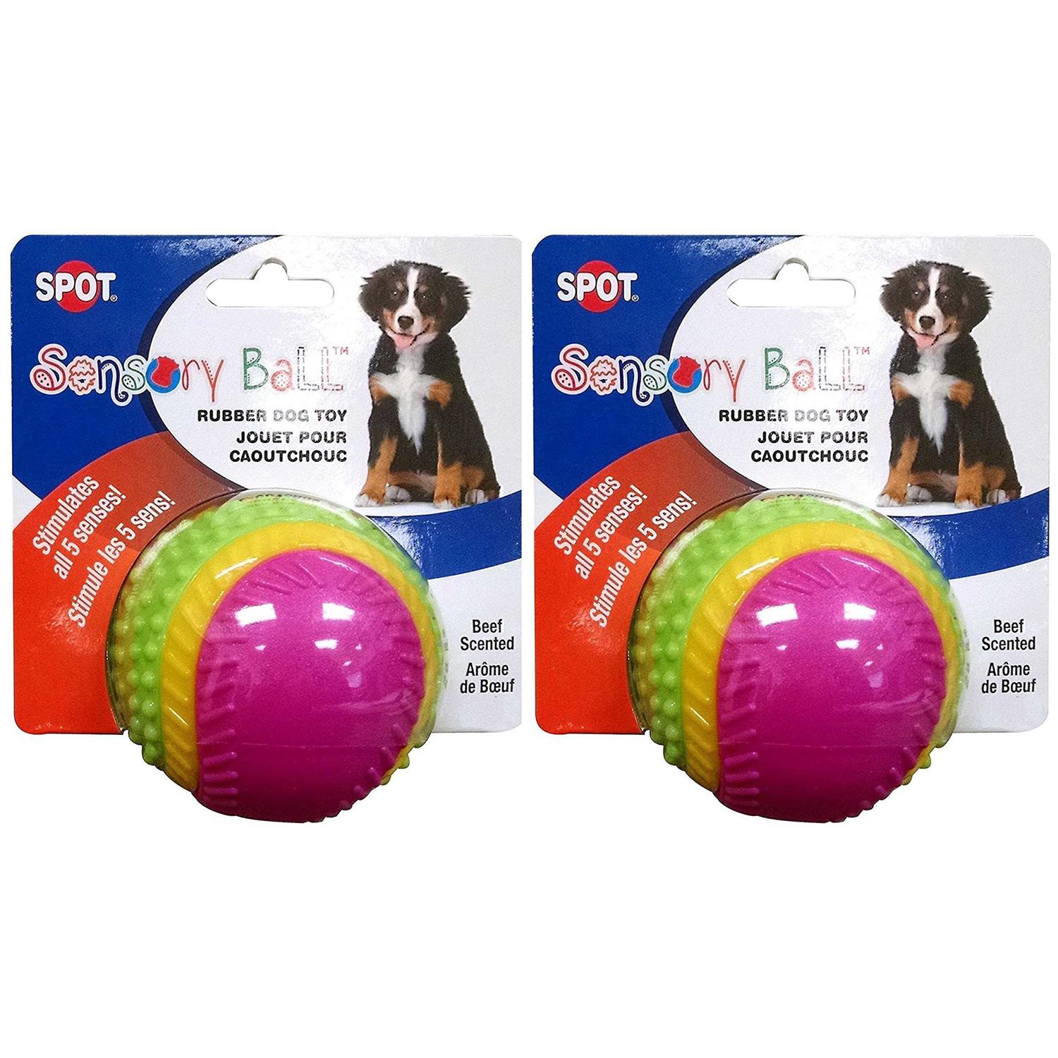 Ethical Pets Sensory Ball Dog Toy - Healthber