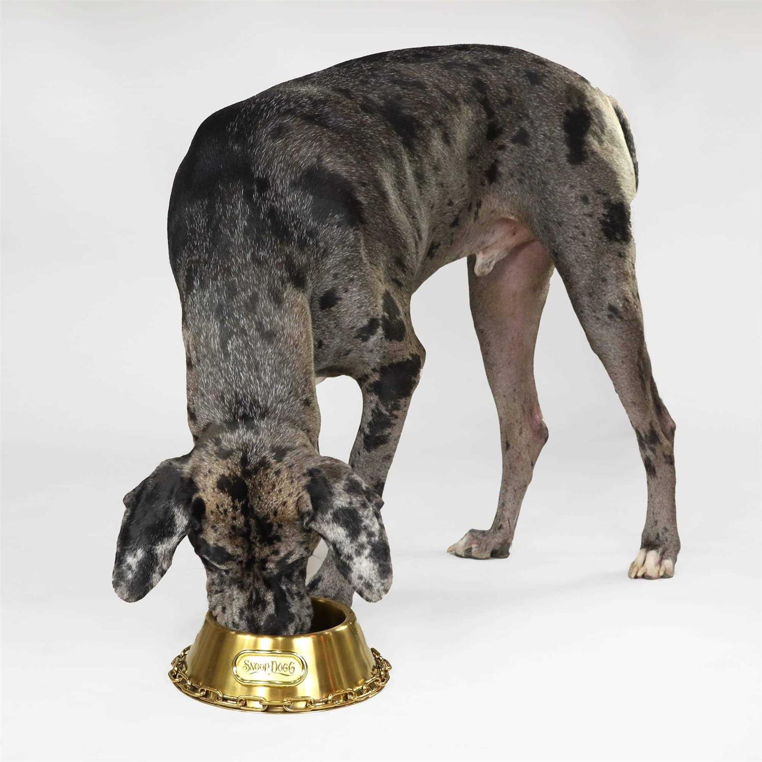 Snoop Doggie Doggs Off The Chain Bowl - Healthber