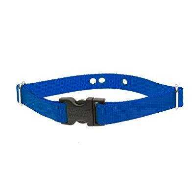 Fence Dog Collar, Guaranteed, Even If Chewed - Healthber