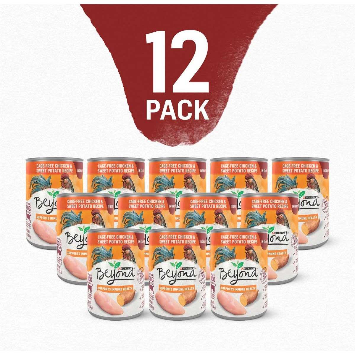 Purina Beyond Chicken and Sweet Potato in Gravy Grain Free Wet Dog Food - Healthber