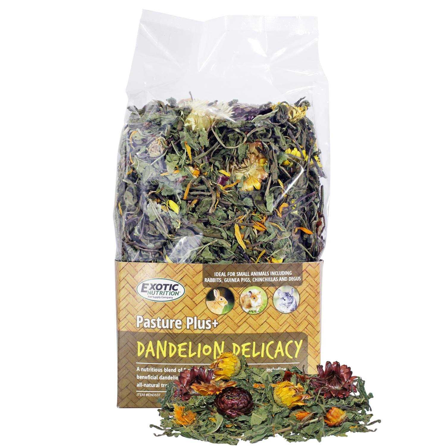 Exotic Nutrition Pasture Plus+ Dandelion Delicacy - Healthber