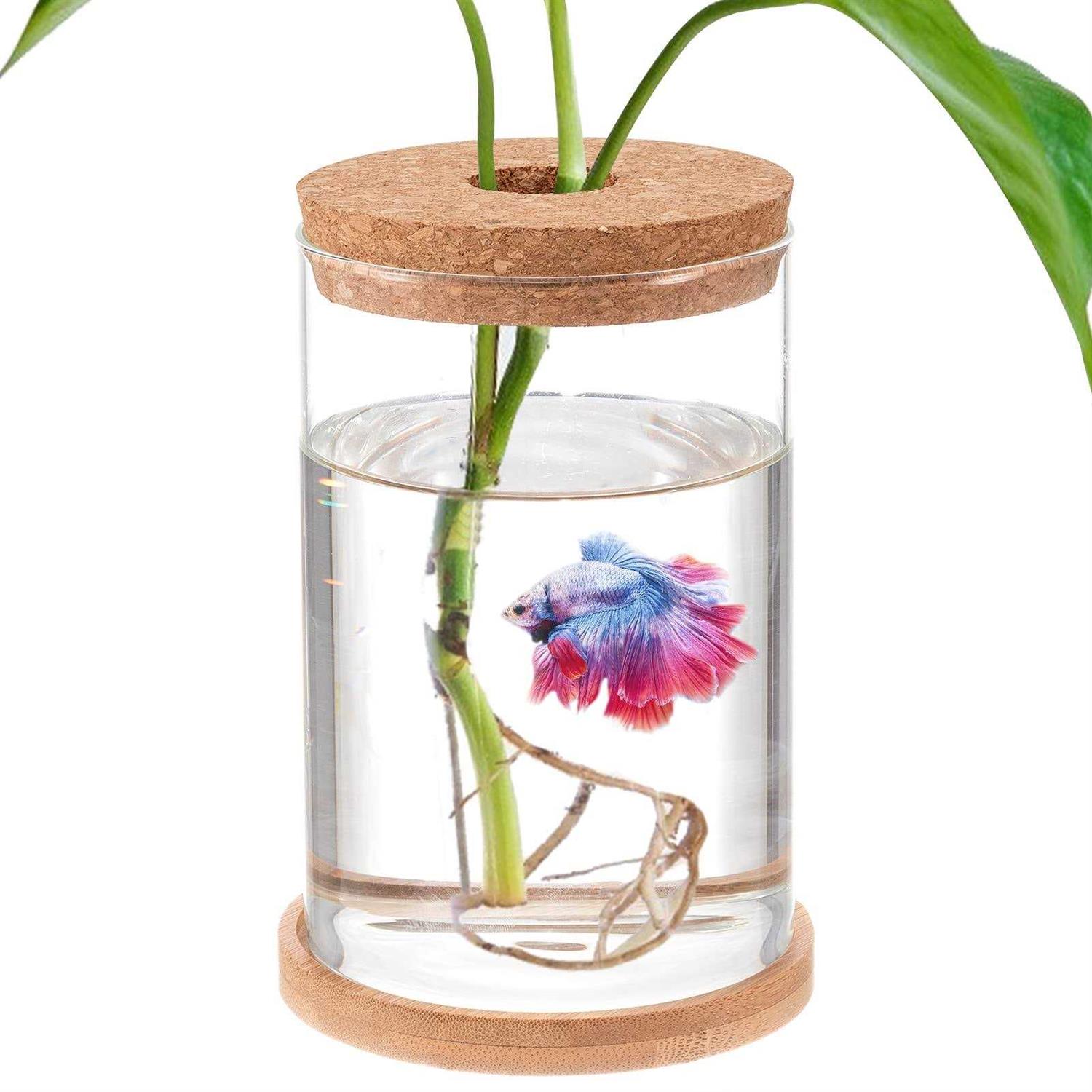 Biggun Betta Fish Tank Mini Fish Bowls for Beta Fish Glass Aquaponic Fish Tank Clear Hydroponic Plant Terrarium for Promoted Ecosphere Aquatic - Healthber