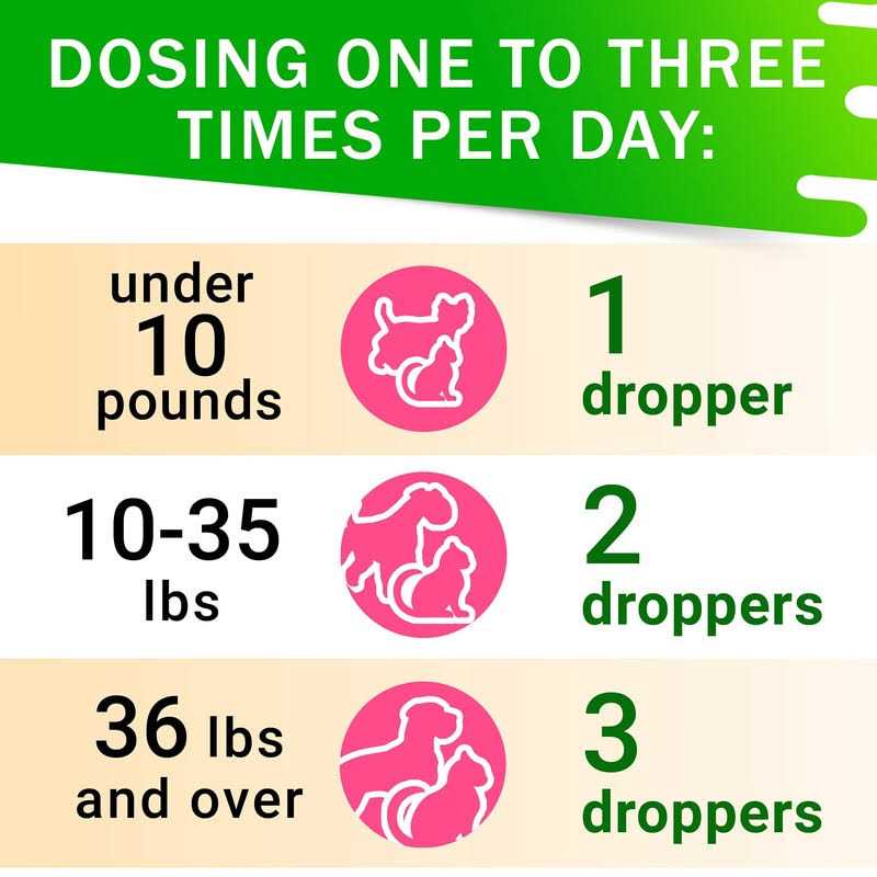 Kennel Cough Drops for Dogs and Cats 2oz Pet Herbal Remedy - Healthber