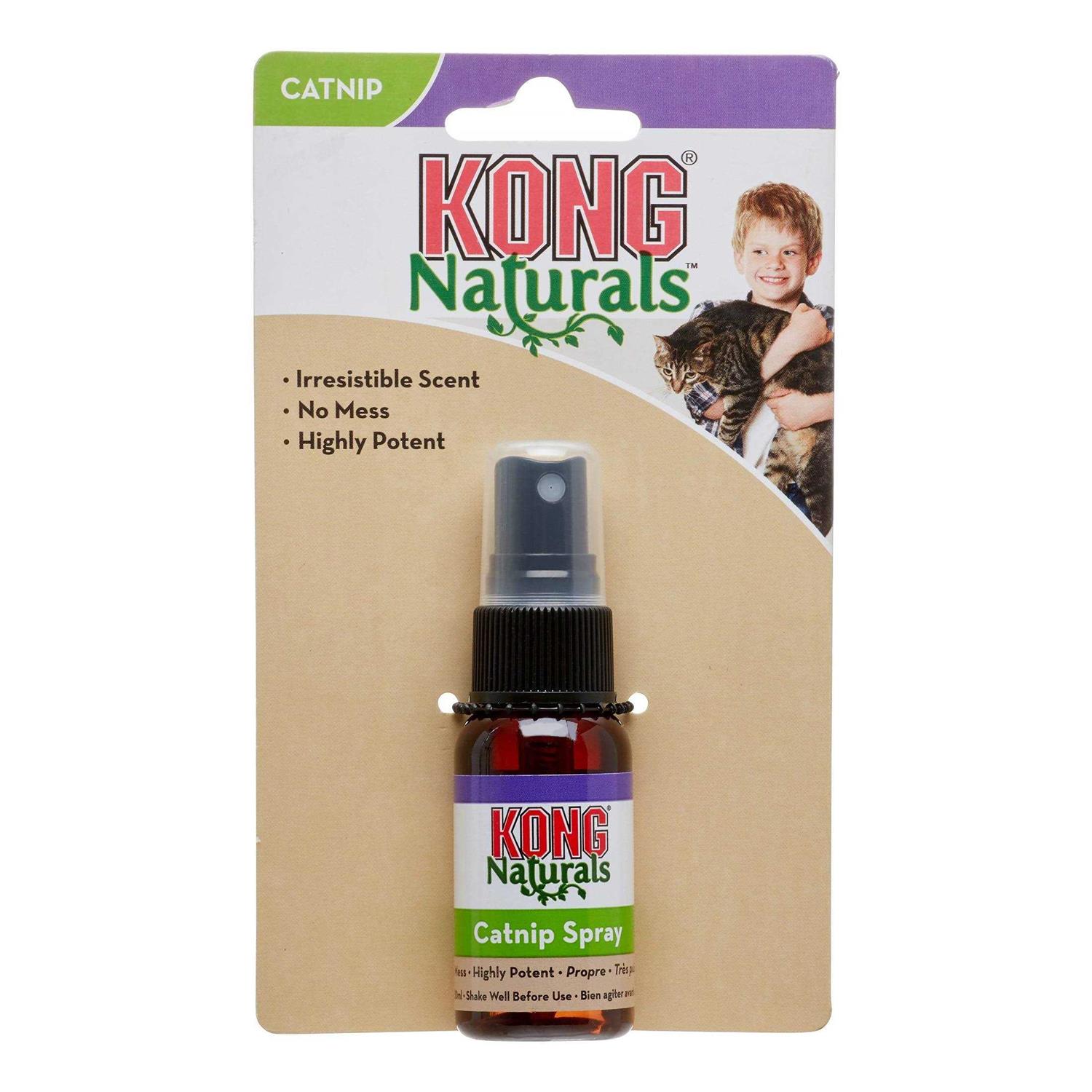 Kong Catnip Spray - Healthber