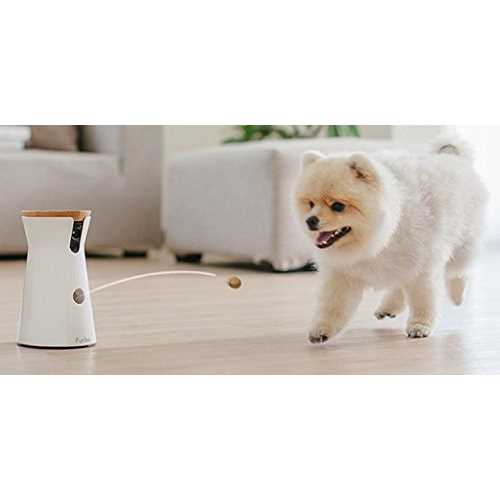 Furbo Dog Camera - Healthber