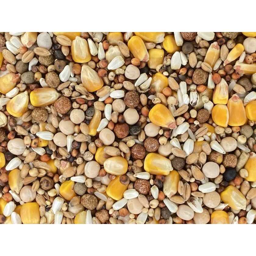 Versele-Laga Classic Racing Pigeon Foods Blends 50lbs - Healthber