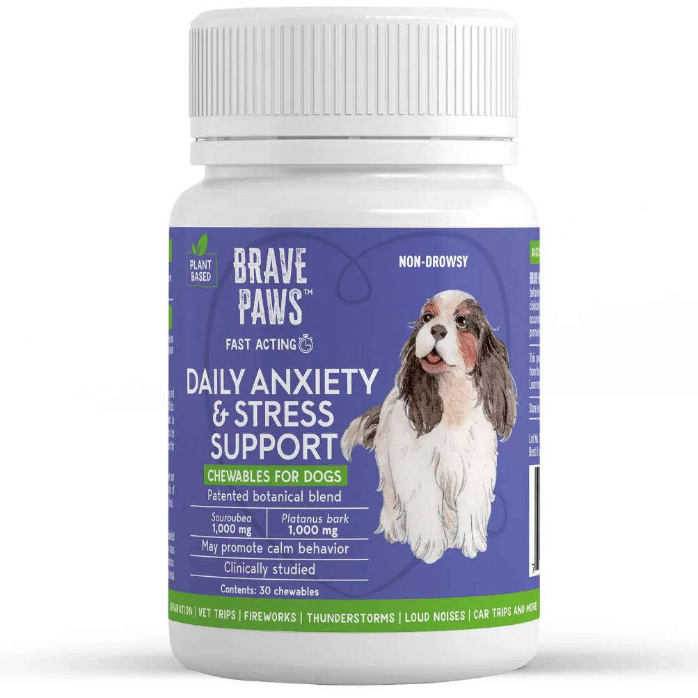 Brave Paws Anxiety & Stress Support Chewables, Beef, 30 ct - Healthber