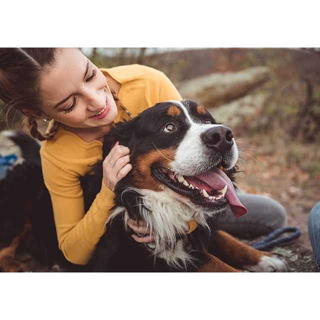 NaturVet Advanced Probiotics Enzymes - Healthber