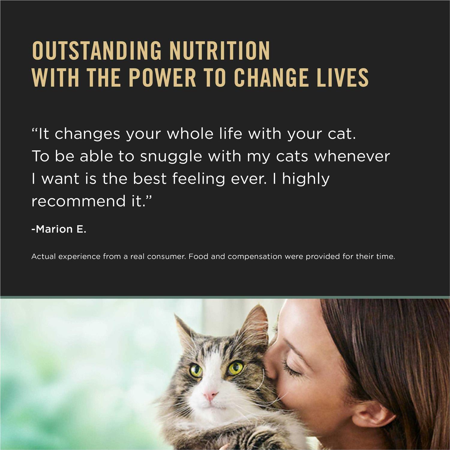 Purina Pro Plan LiveClear Dry Cat Food for Kittens Chicken & Rice Formula - Healthber