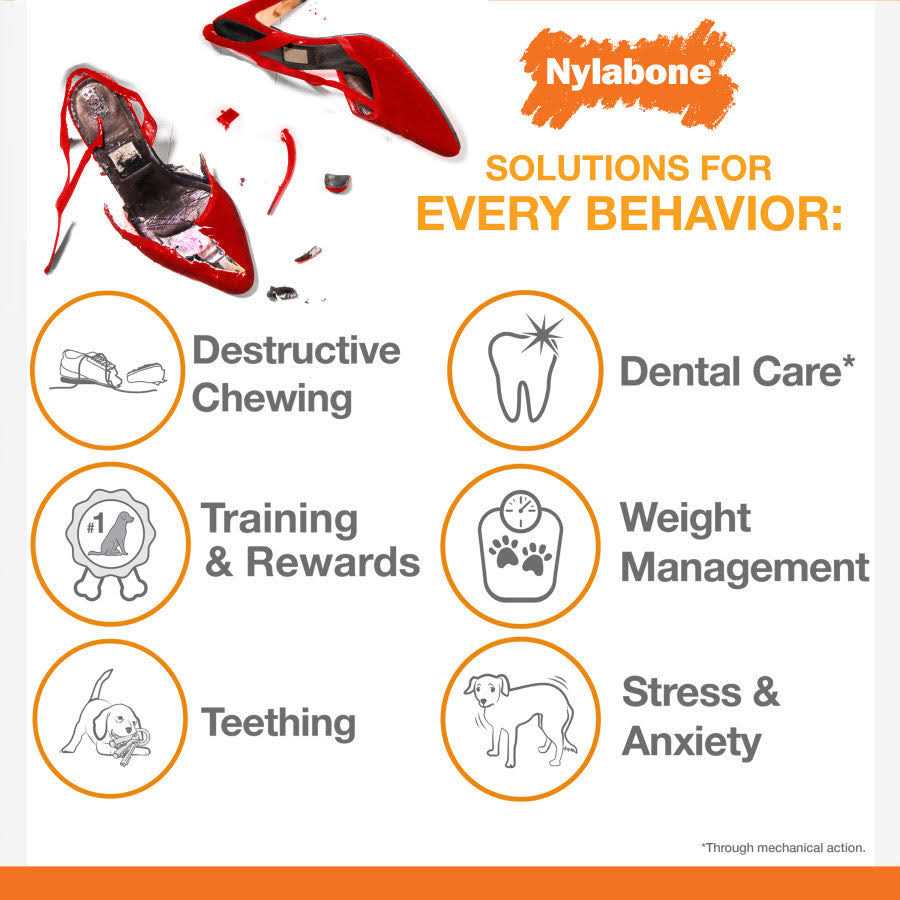 Nylabone Power Chew Lobster Dog Toy Filet Mignon - Healthber