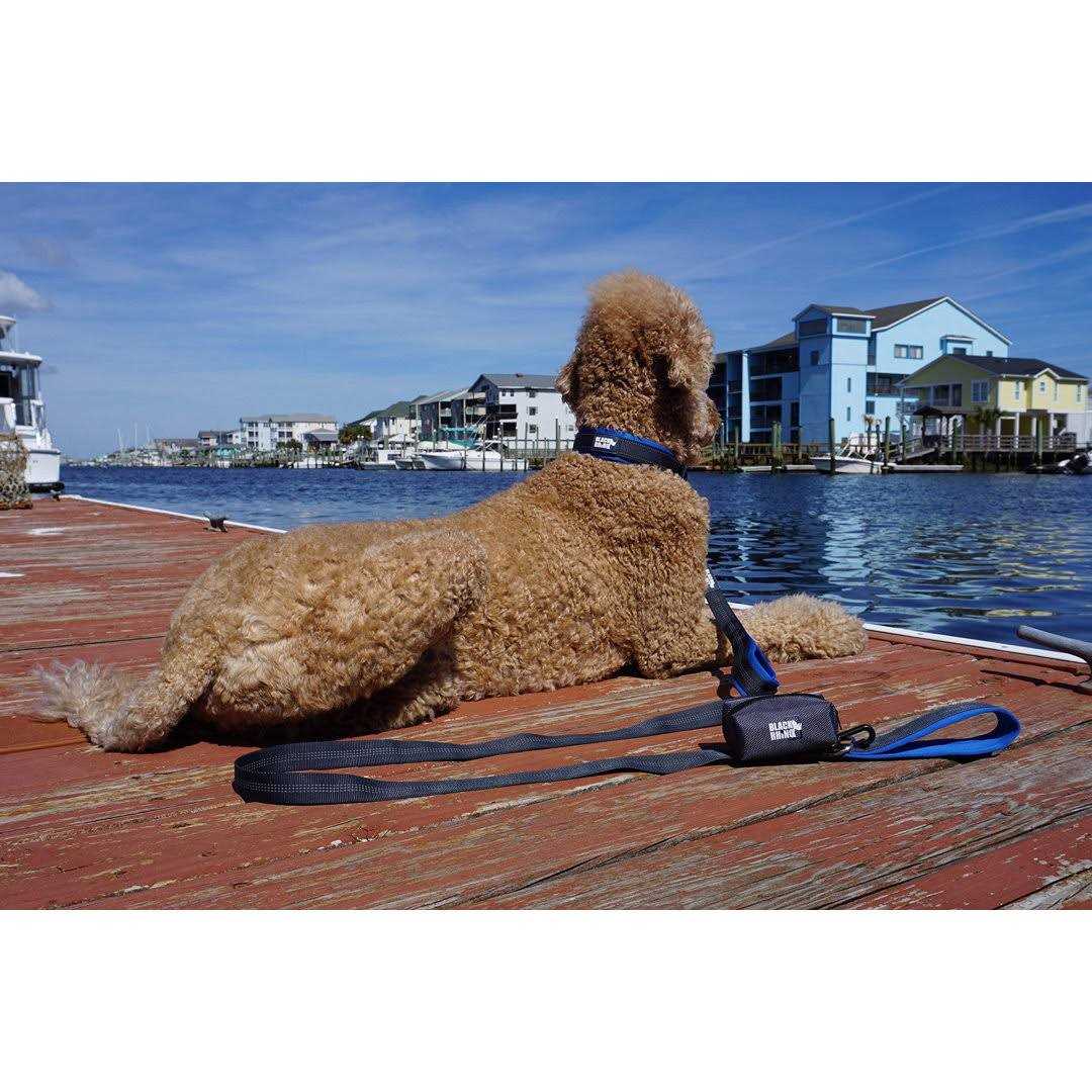 Black Rhino Dog Leash Heavy Duty Medium & Large Dogs Long Leashes - Healthber