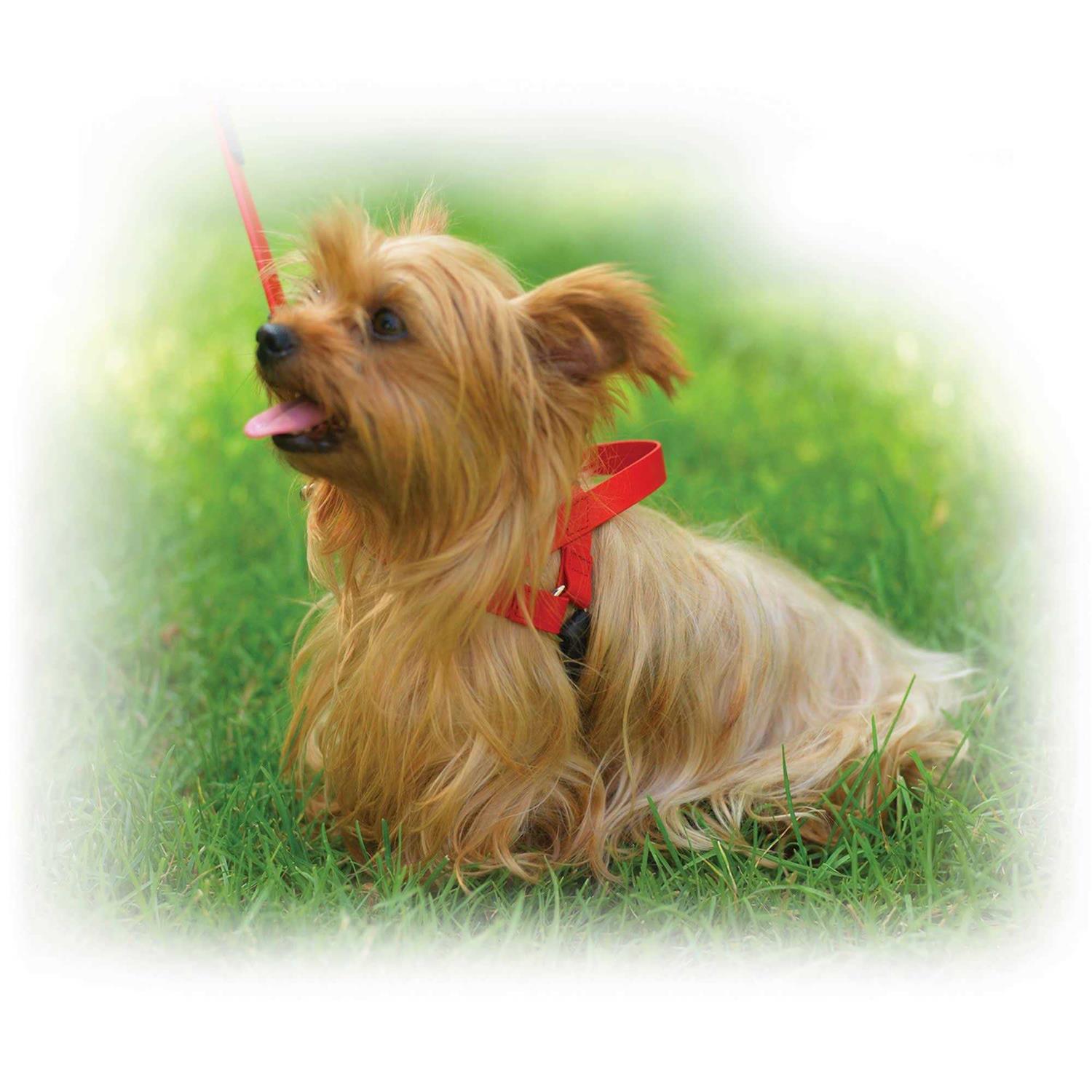 Ultrahund Freedom Harness - Healthber