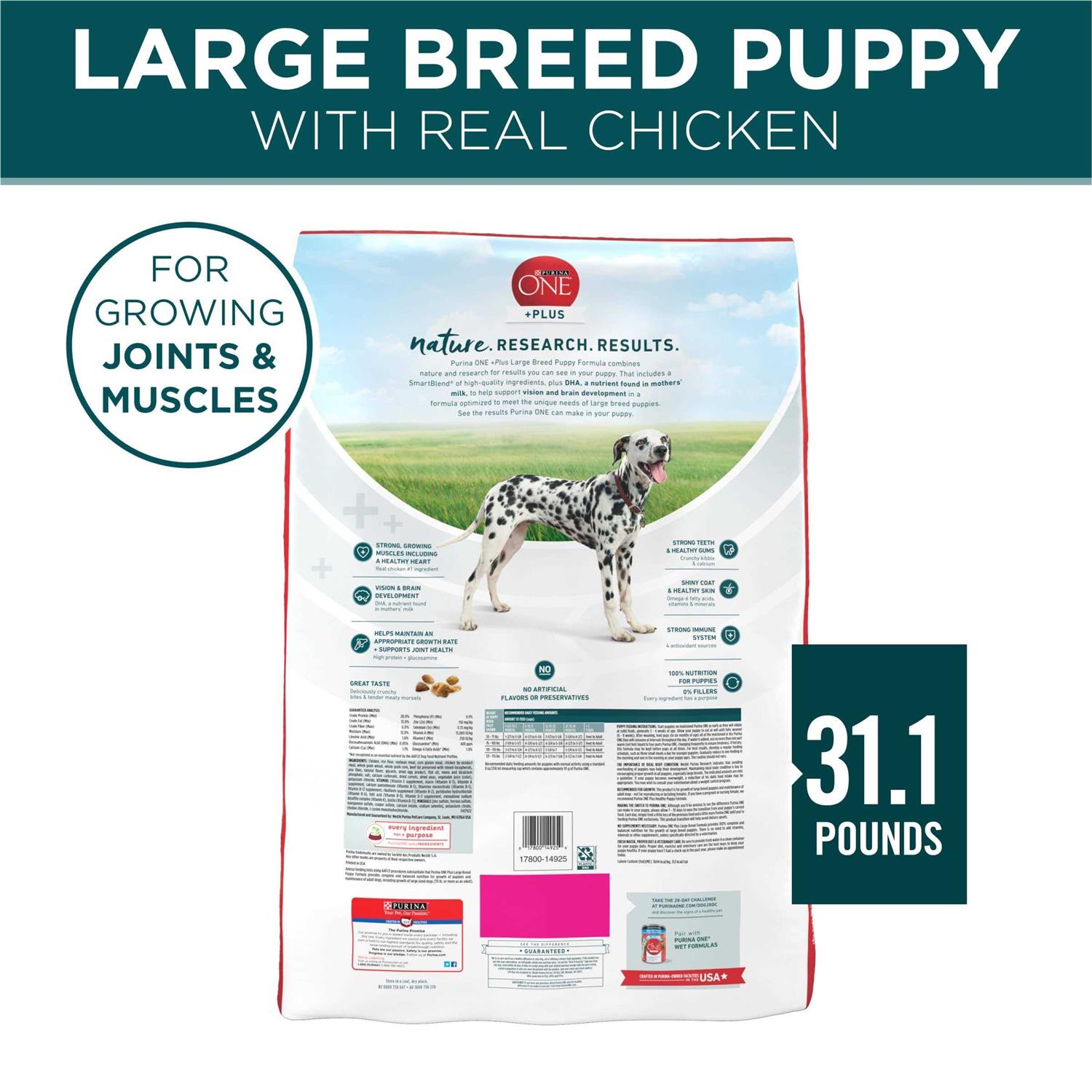 Purina ONE Large Breed Puppy Formula Dry Dog Food - Healthber