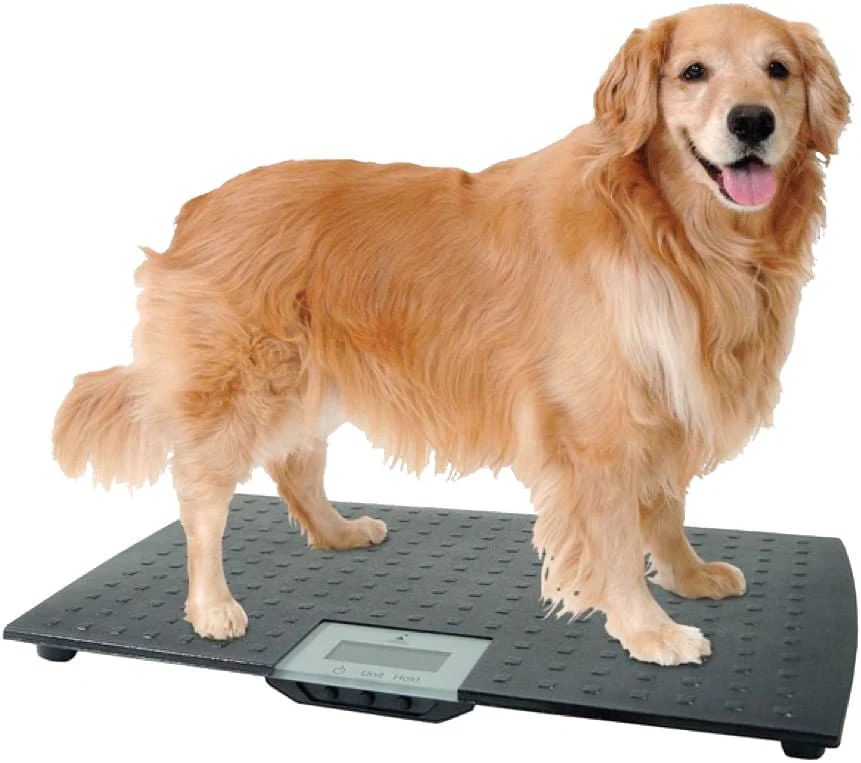 Large Digital Pet Scale - Healthber