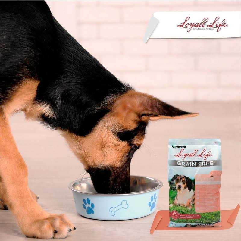 Loyall Life Grain Free Salmon Sweet Potato Dog Food 30 Pounds - Healthber