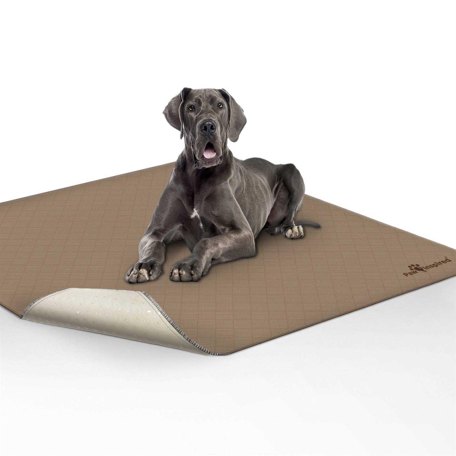 Paw Inspired Washable Pee Pads for Dogs Reusable Puppy Pads - Healthber