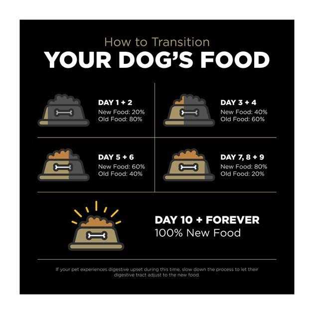 Go! Solutions Sensitivities Limited Ingredient Duck Grain-Free Dry Dog Food - Healthber