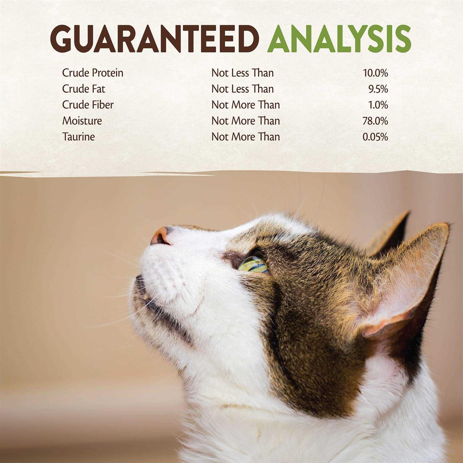 Wellness Core 95% Cat Food - Healthber