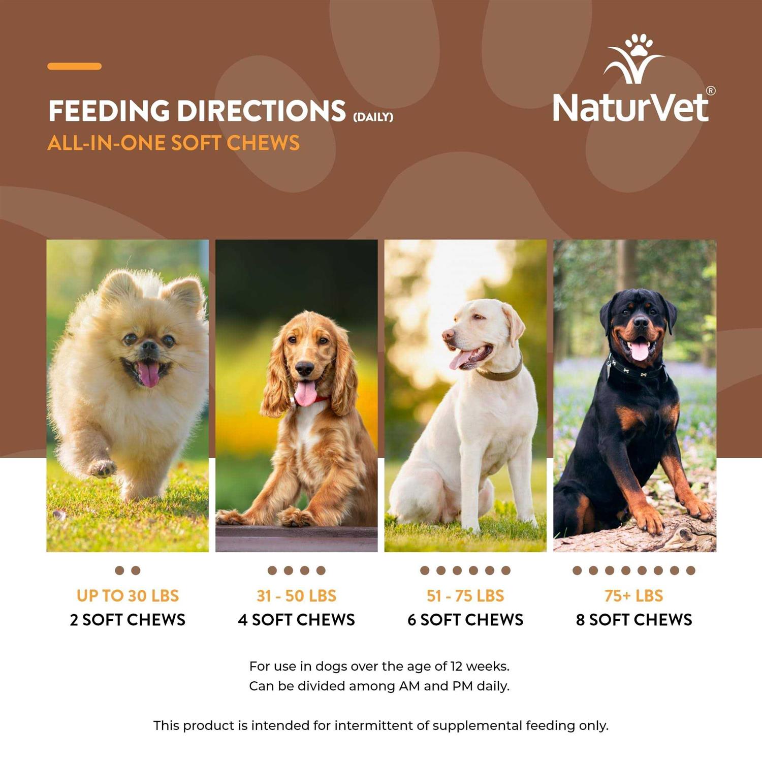 NaturVet All-In-One for Dogs - Healthber