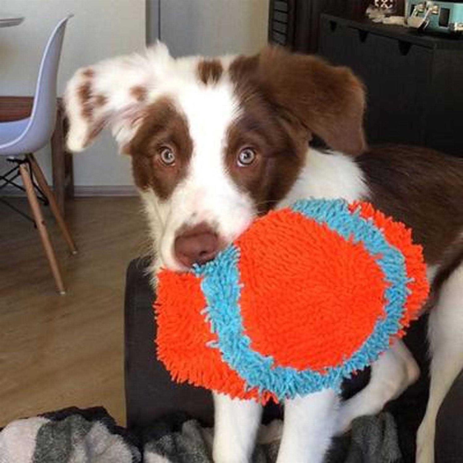Chuckit! Indoor Fumbler Dog Toy - Healthber