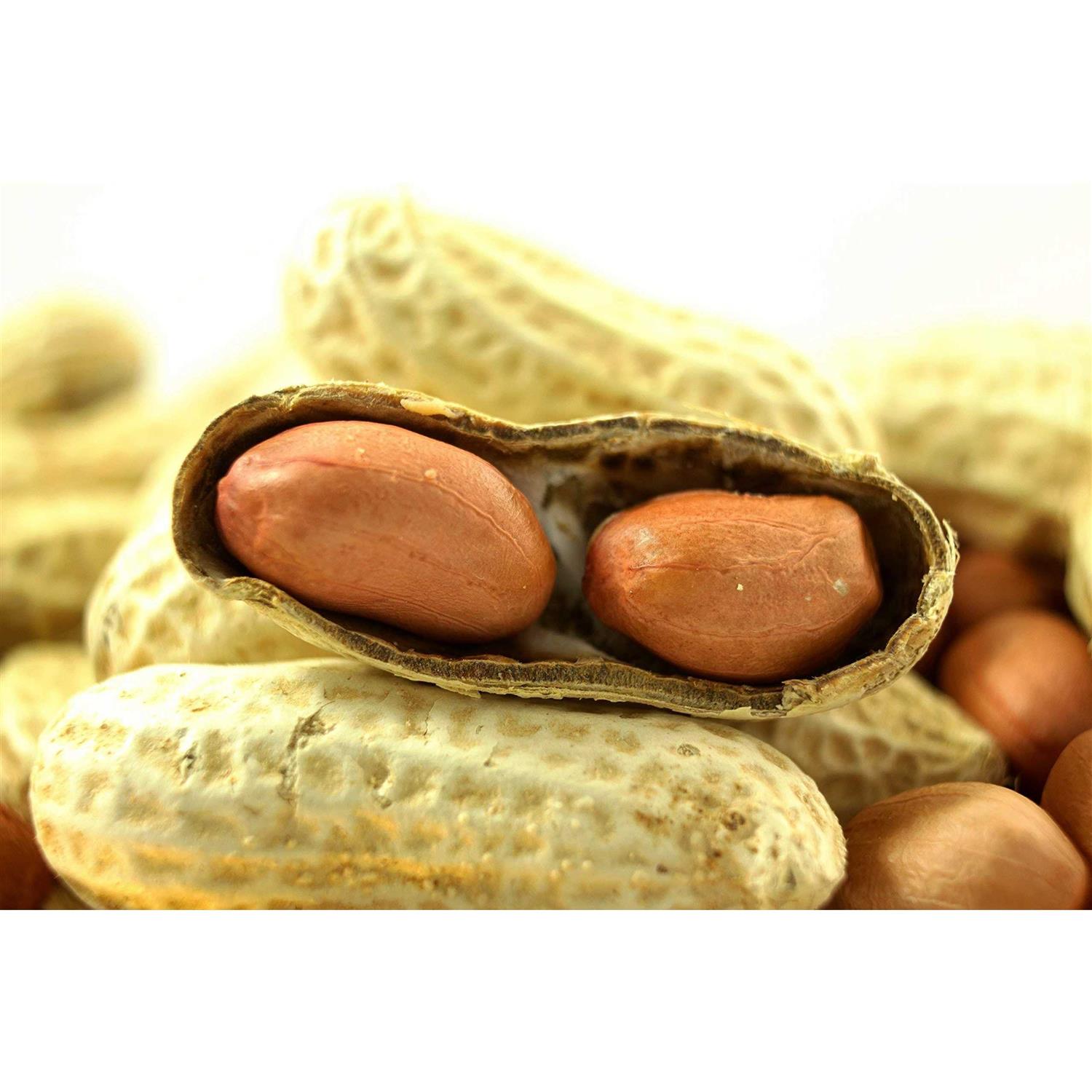 WAKEFIELD PEANUT COMPANY A TRADITION OF EXCELLENCE SINCE 1965 Wakefield Extra Large Virginia Peanuts for Animals - Healthber