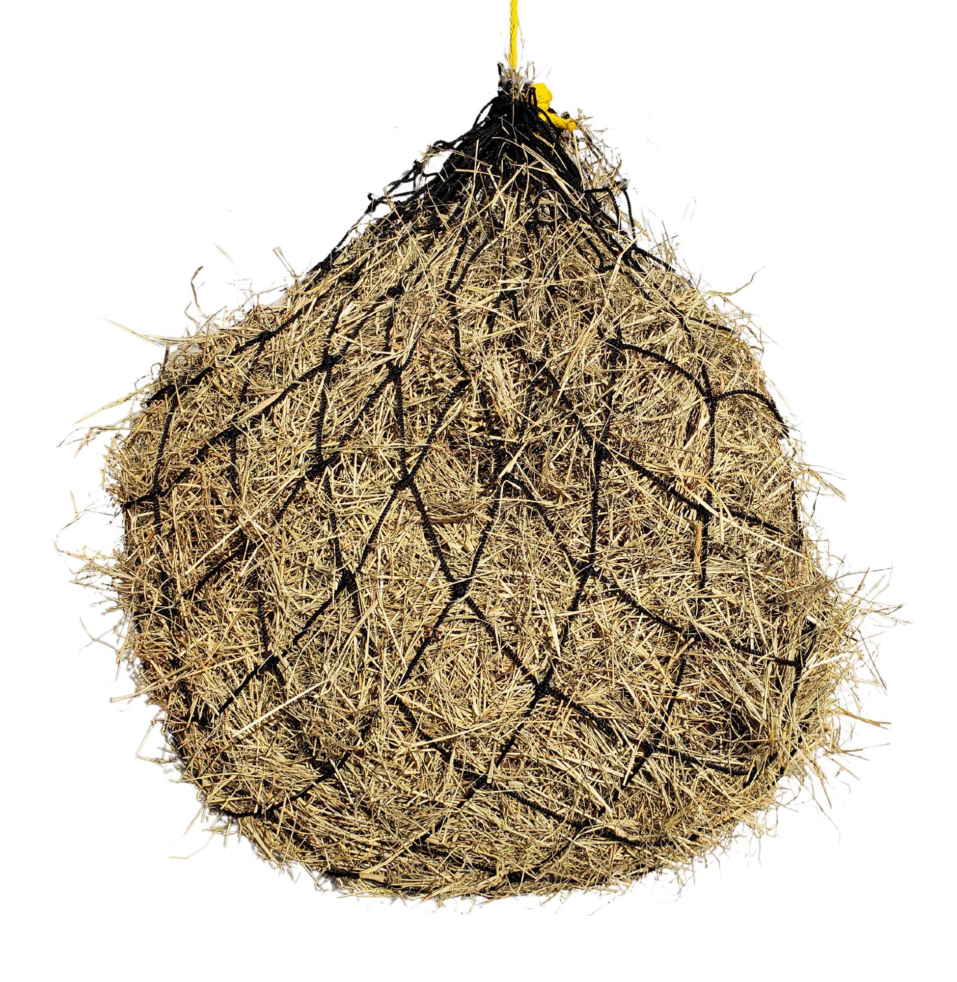 Texas Haynet 3