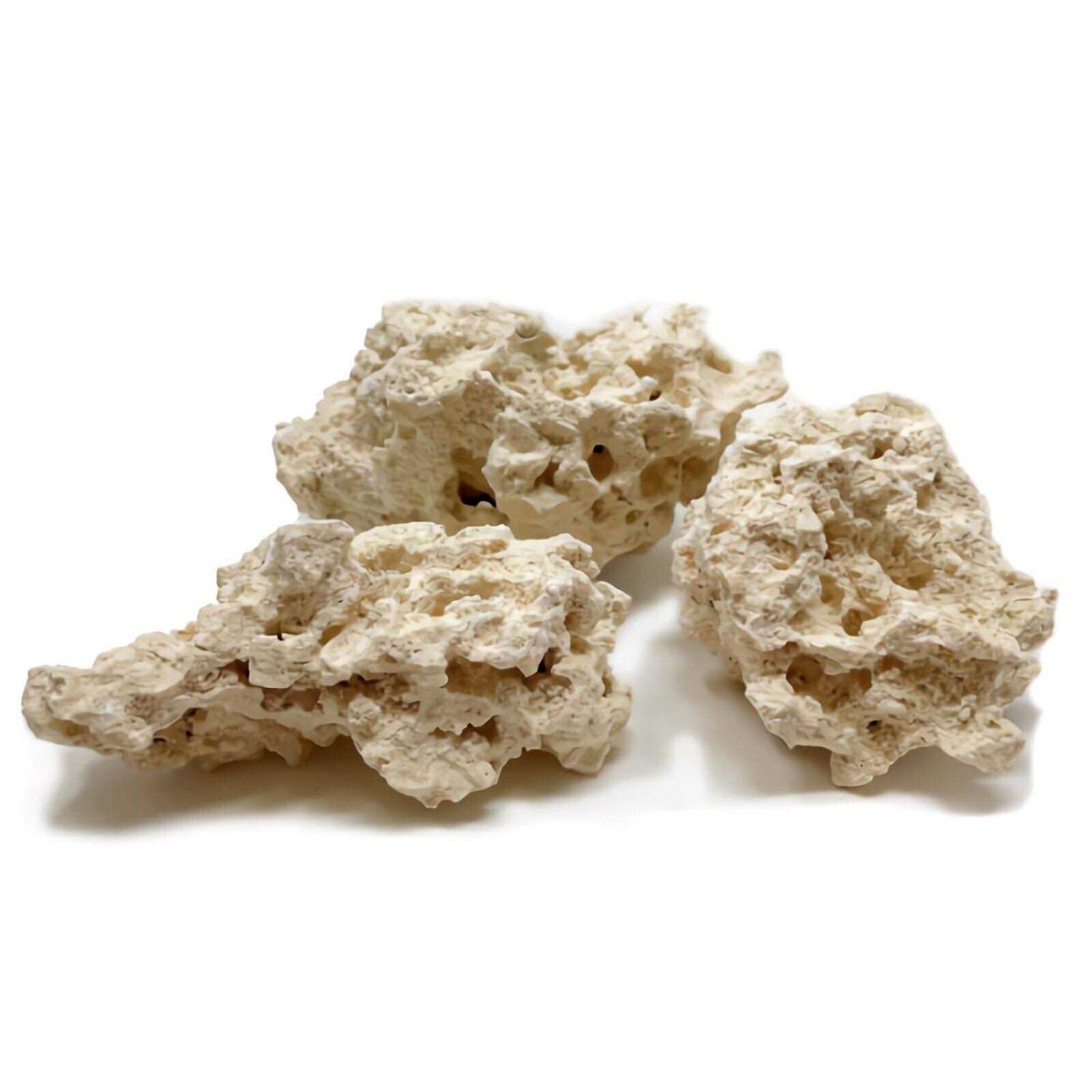 Caribsea South Sea Base Rock for Aquariums - Healthber