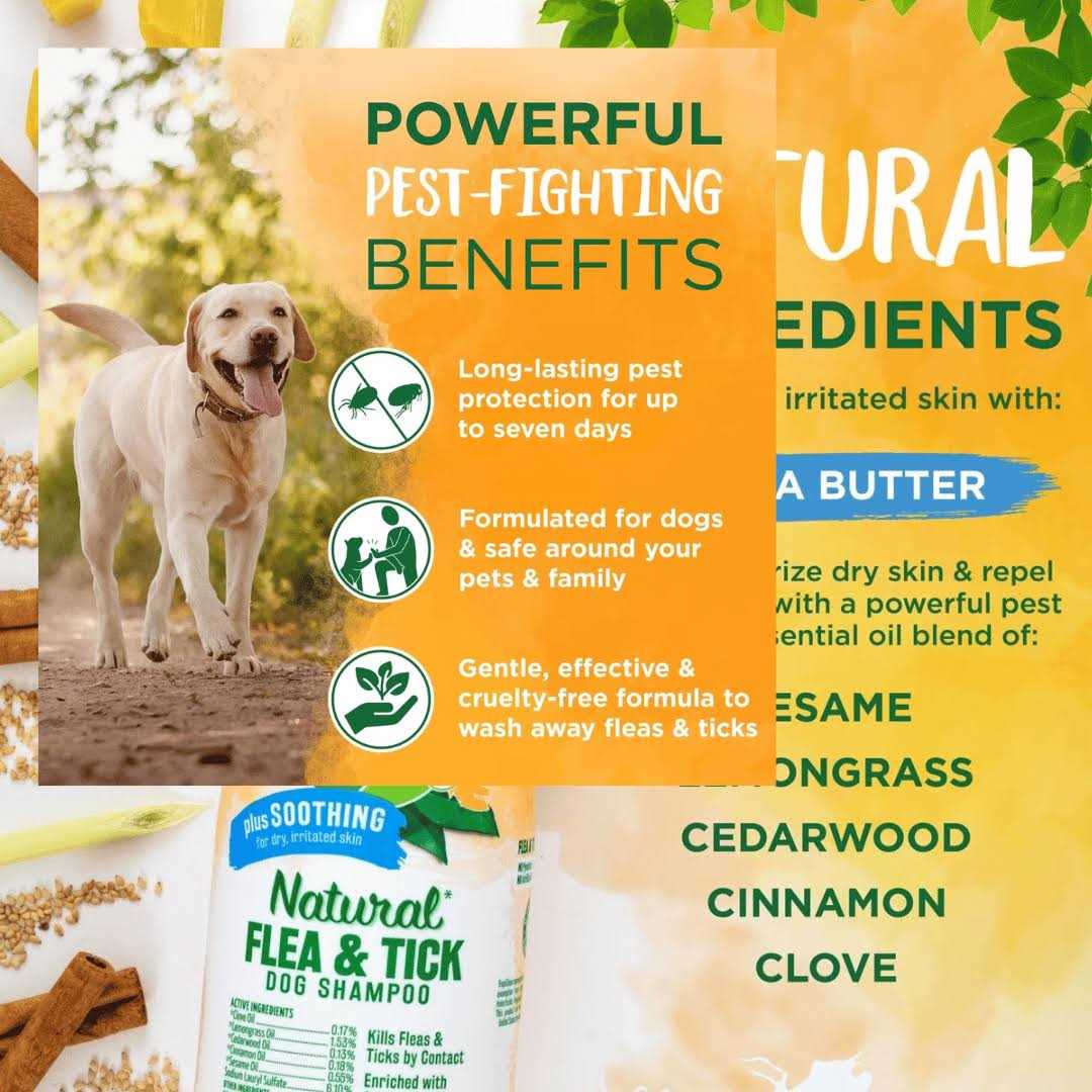 Tropiclean Natural Flea & Tick Shampoo Plus Soothing - Healthber