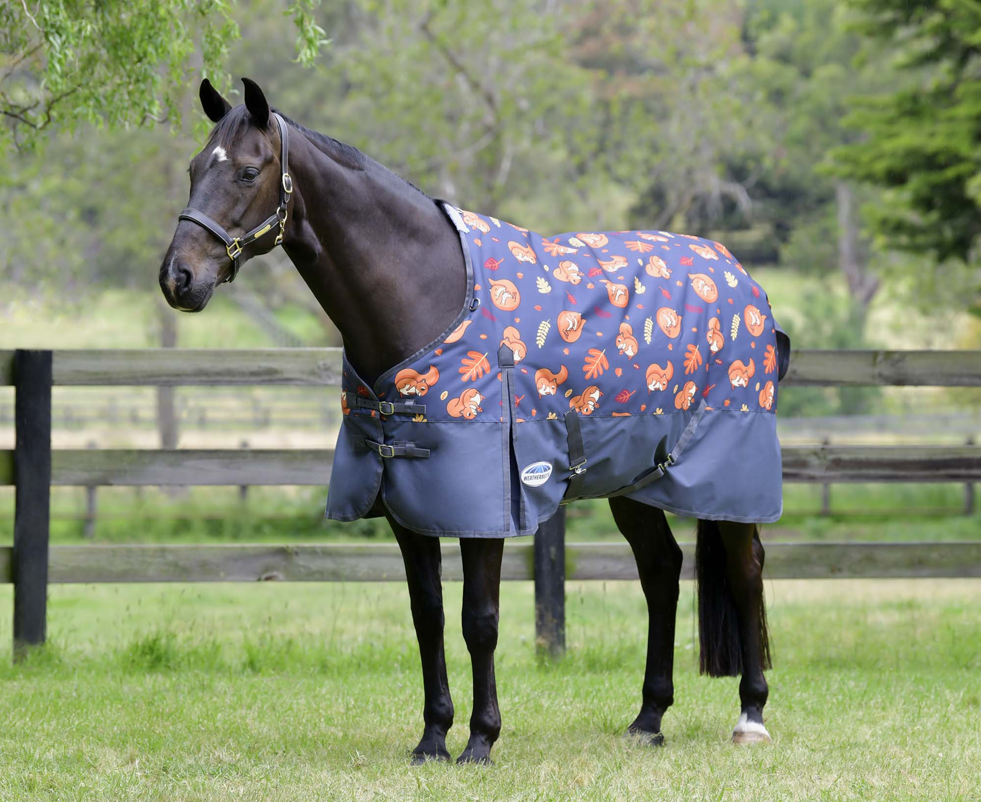 WeatherBeeta ComFITec Essential Standard Neck Turnout, Medium, Squirrel Print - Healthber