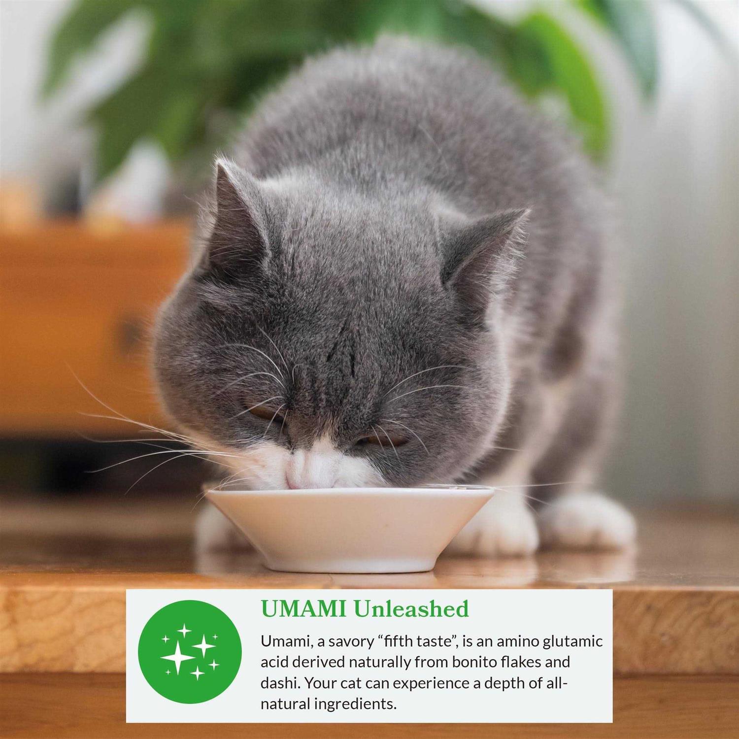 Inaba Dashi Delight Flavored Variety Pack Bits in Broth Cat Food Topping - Healthber