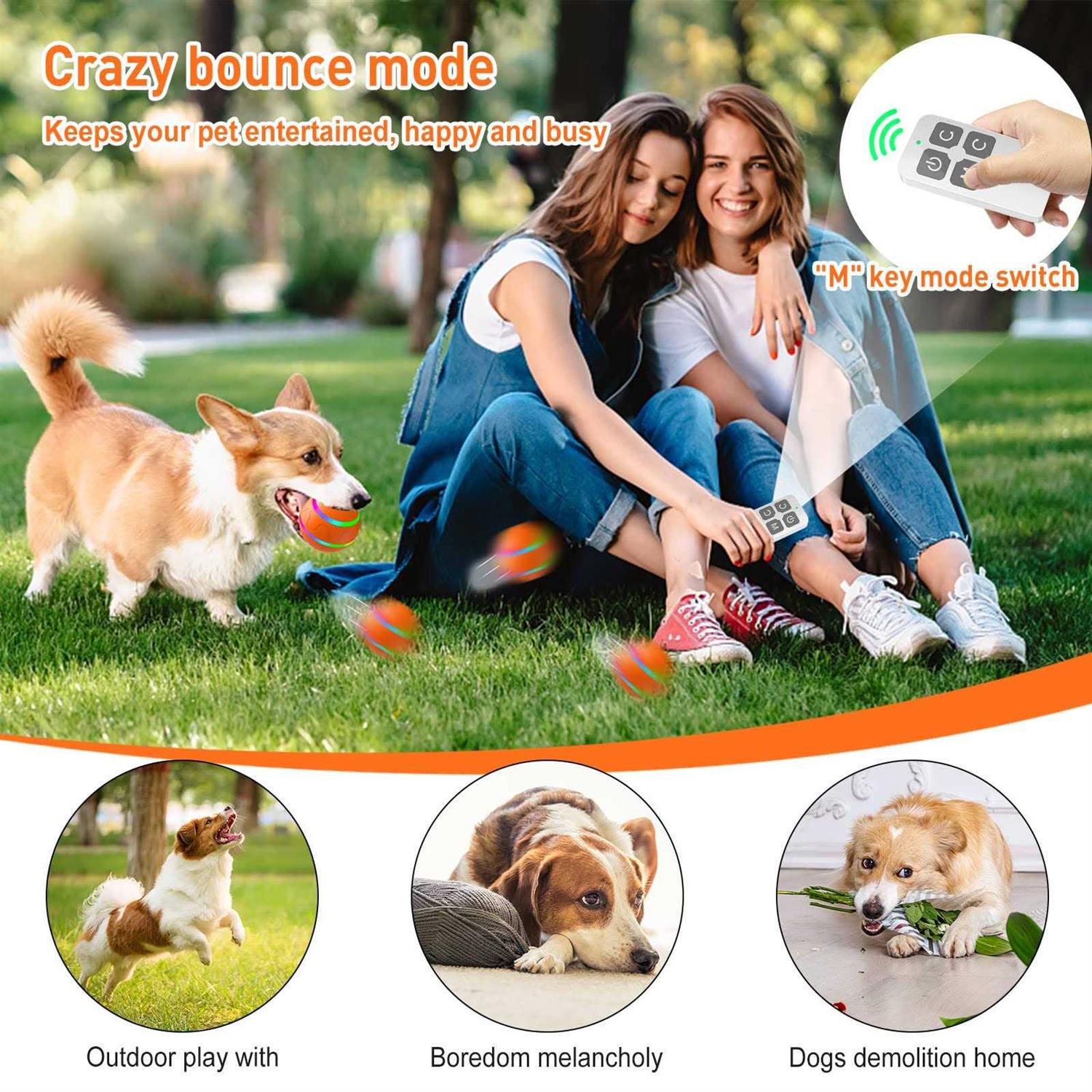 Interactive Dog Toys Peppy Pet Ball for Dogs - Healthber