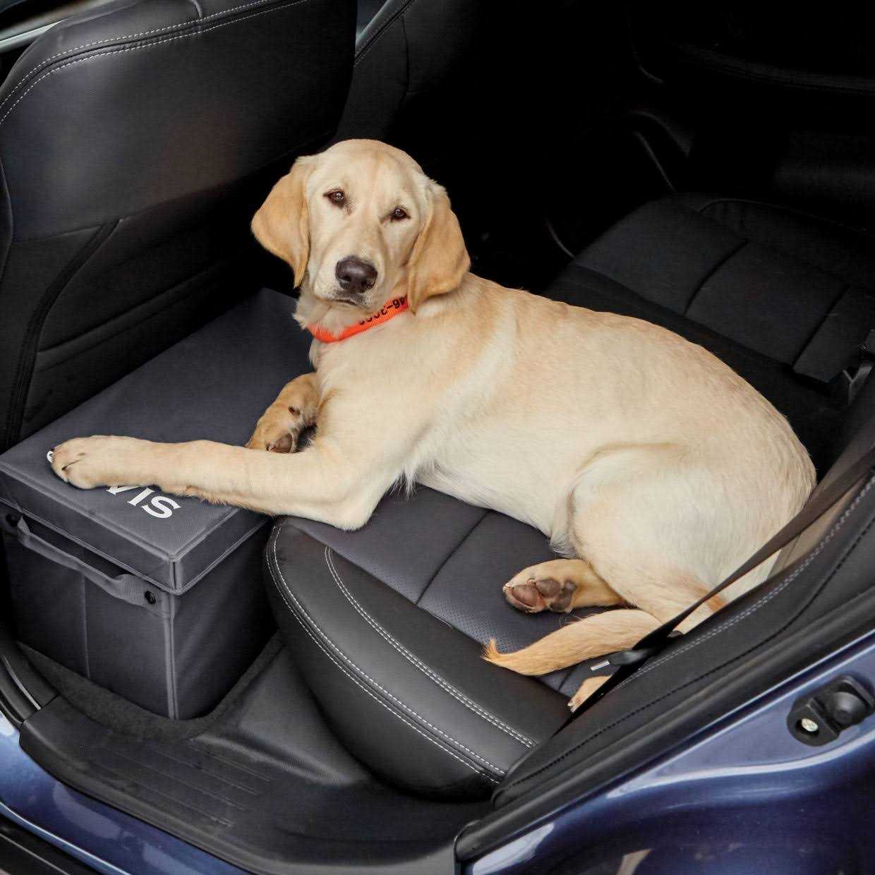 Orvis Backseat Extender with Storage at Aventuron - Healthber