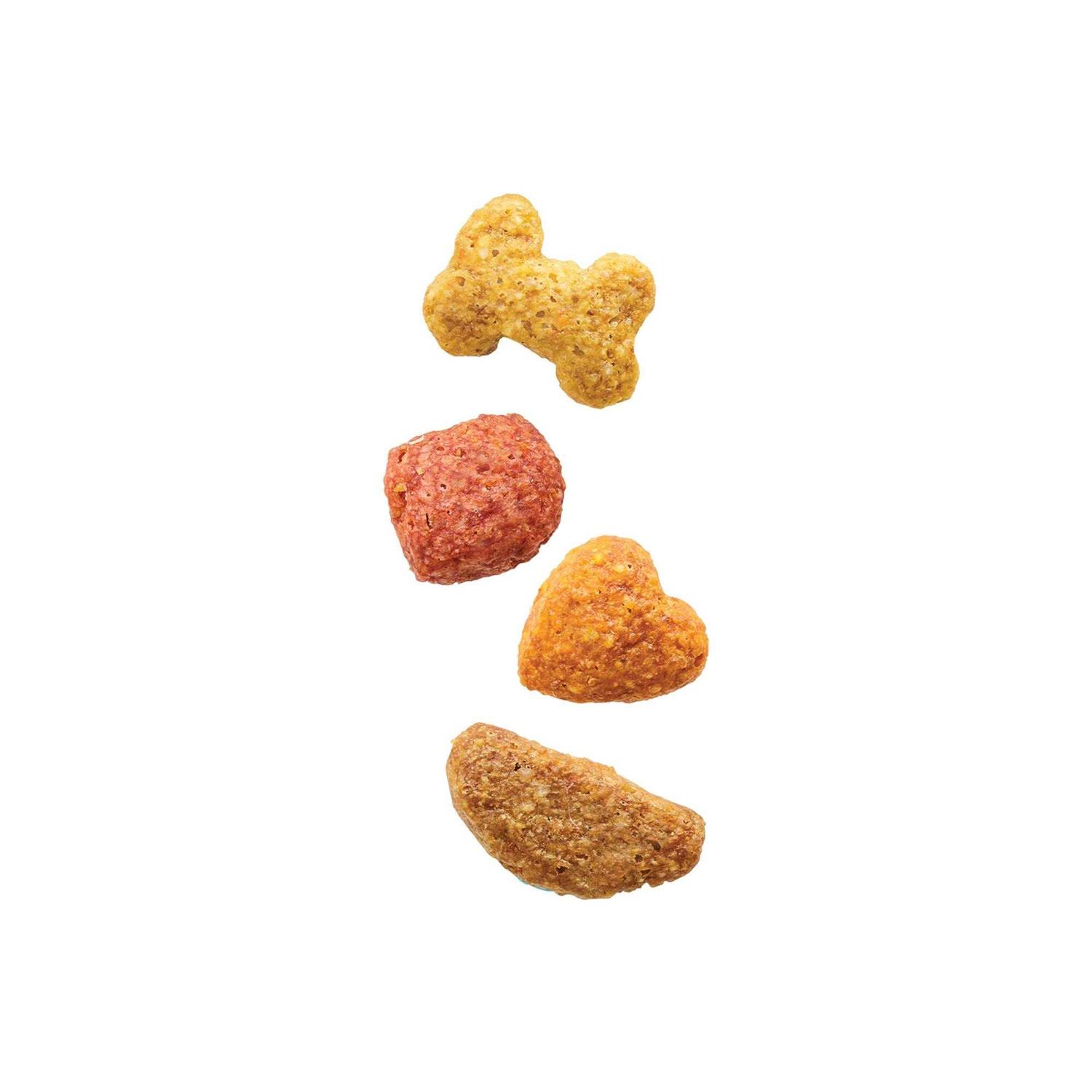 Purina Beneful Originals Salmon Dry Dog Food - Healthber