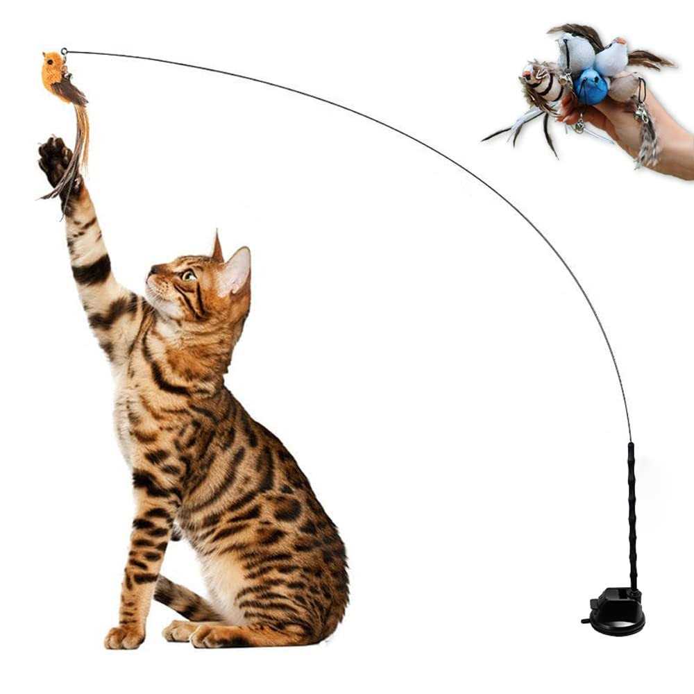 Leo’s Paw Interactive Bird Simulation Cat Toy Set - Healthber