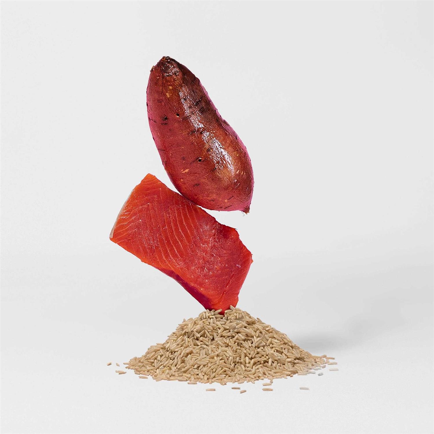 Jinx Salmon Brown Rice & Sweet Potato Dry Dog Food - Healthber