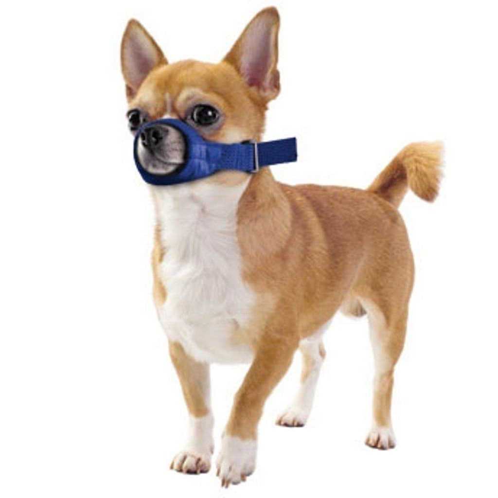 Four Flags Quick Muzzle Xxs - Healthber