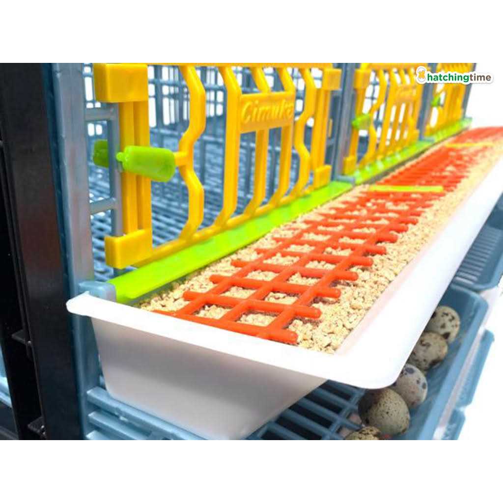 Hatching Time Partridge Cage 1 Layer - Healthber