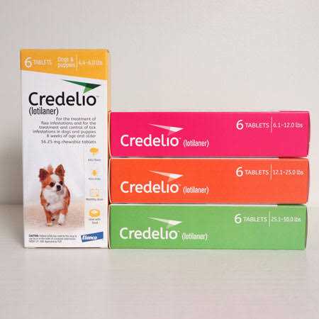 Credelio for Dogs 12.1-25 lbs 1 Count - Healthber