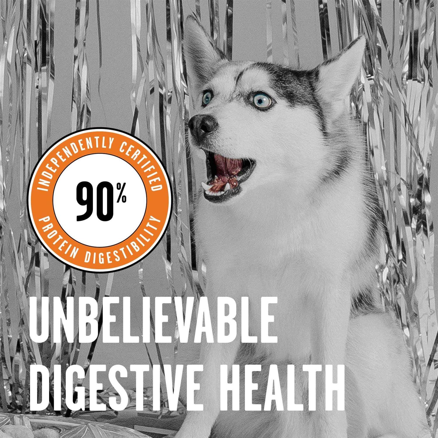 BIXBI Rawbble Chicken Recipe Dry Dog Food - Healthber