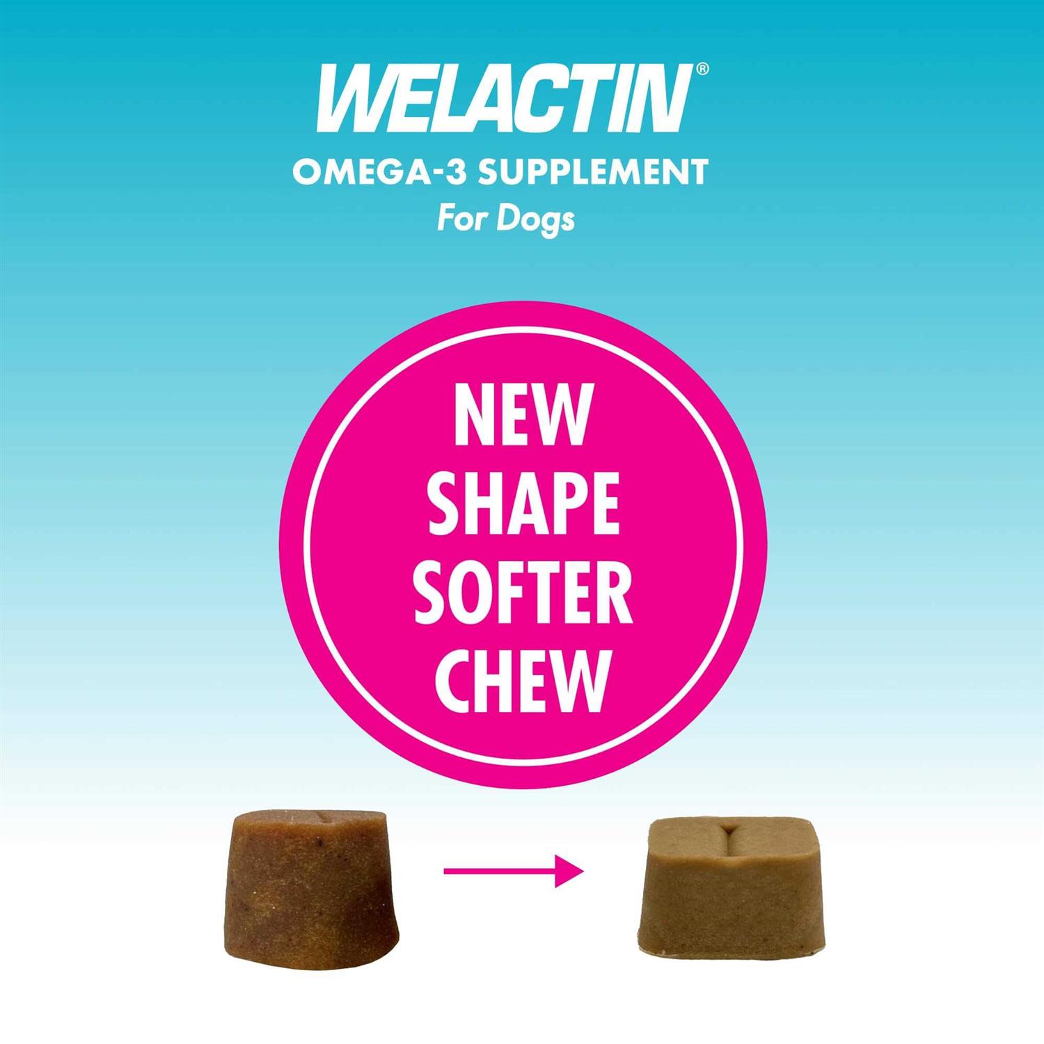 Nutramax Welactin Omega-3 Supplement Soft Chews For Dogs - Healthber