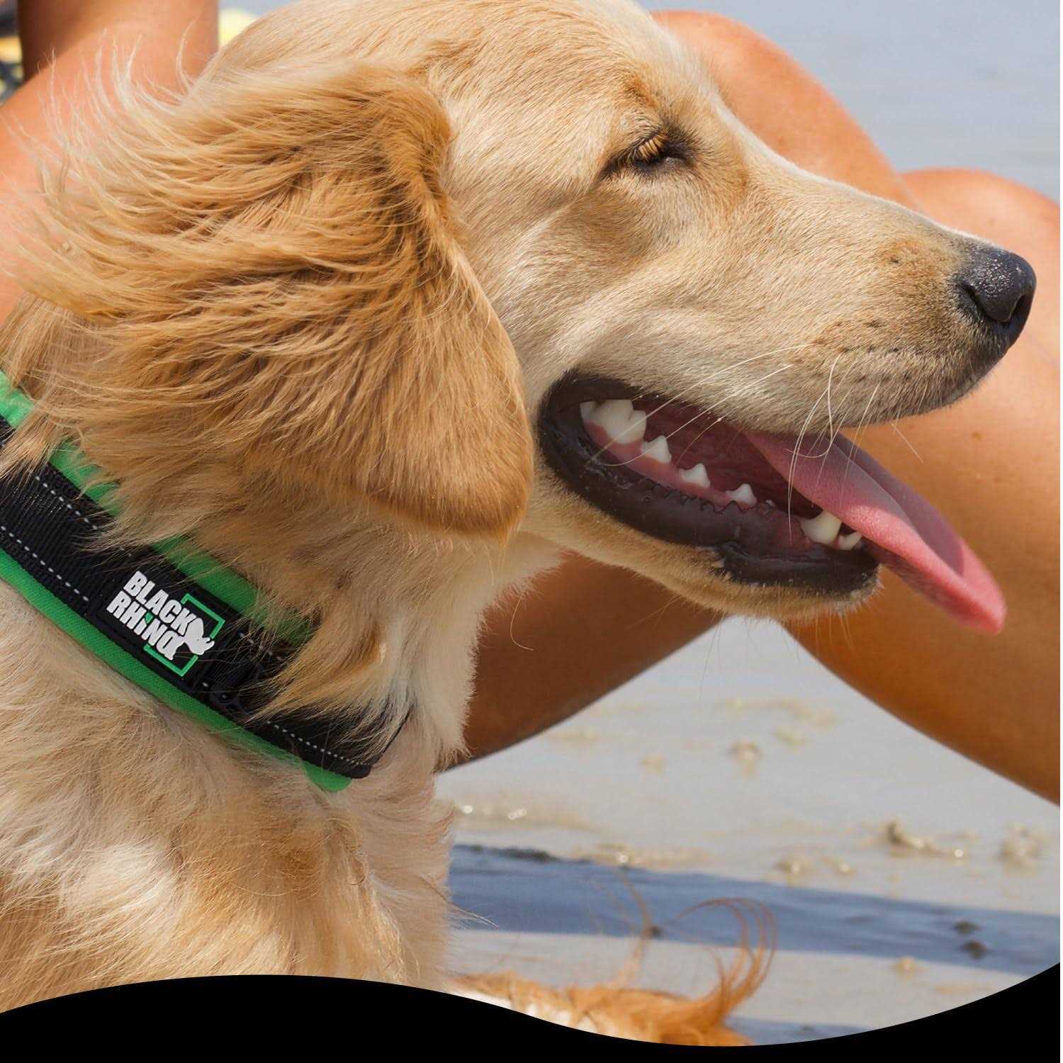 Black Rhino The Comfort Collar Ultra Soft Neoprene Padded Dog Collar for All Breeds - Healthber