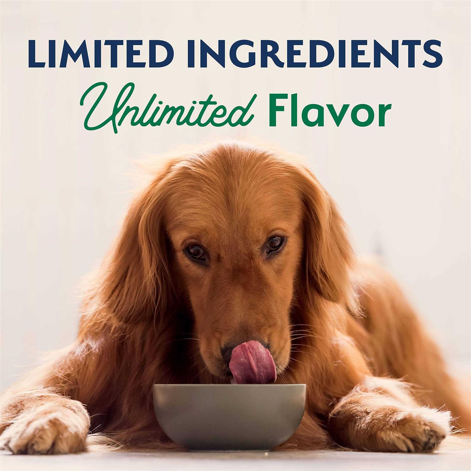 Natural Balance Limited Ingredient Diets Lamb & Brown Rice Dry Dog Food - Healthber