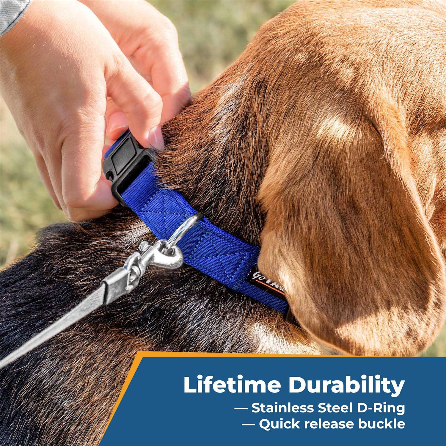 GoTags Personalized Dog Collar, Custom Embroidered with Pet Name and Phone Number and and - Healthber