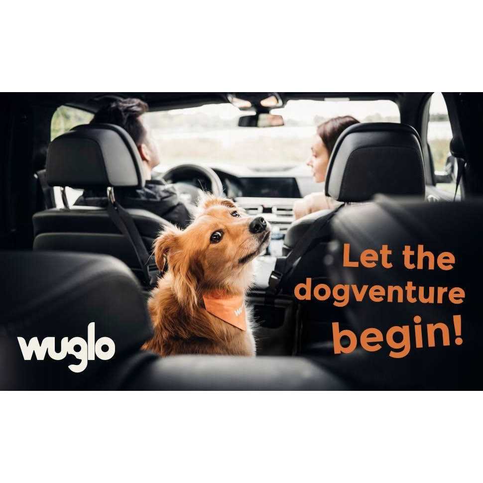 Wuglo Extra Stable Dog car Seat Reinforced car Dog Seat for Medium-Sized Dogs with 4 Fastening Straps - Healthber