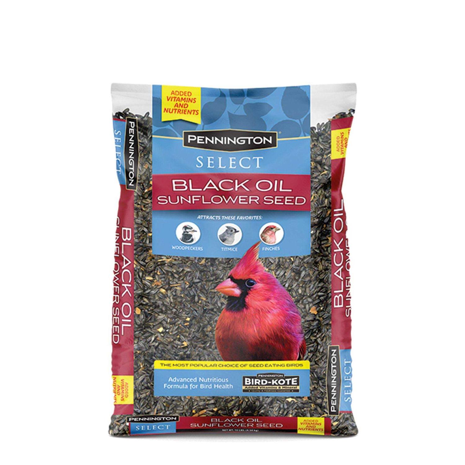 Pennington Select Black Oil Sunflower Seed Wild Bird Feed - Healthber